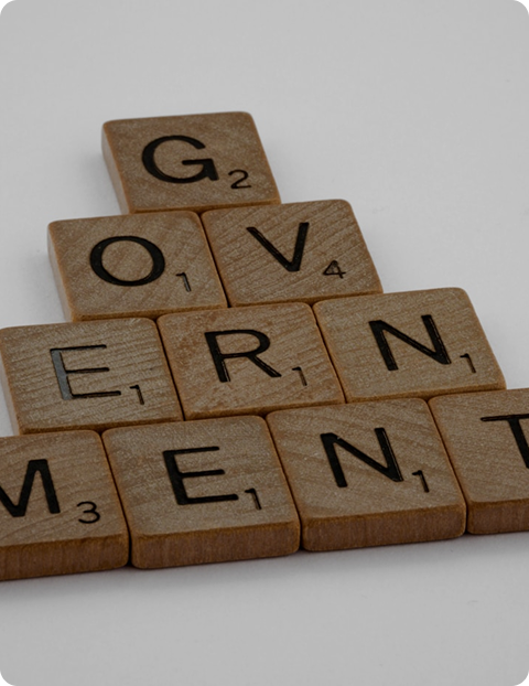 Government 