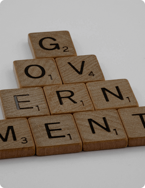 Government 