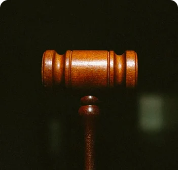 Corporate Governance & Supervision